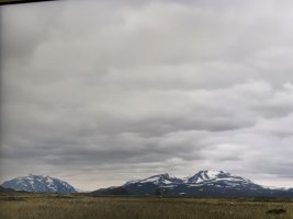 IMG_3454.jpeg