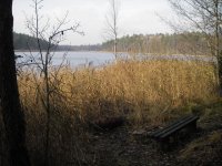 IMGP3721.jpg