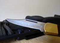 Min 960 Puma Cub.jpg