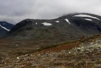 IMG_1658.jpg