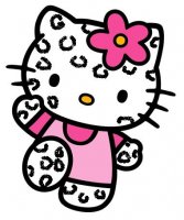 hello kitty leopard.JPG