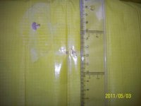 100_3891.jpg
