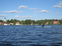 IMG_1582.jpg