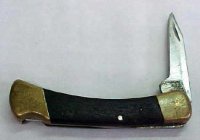 Sliten Buck 110.jpg