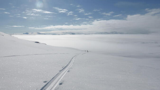 På väg ner till sjön. Foto: Anders Ahnesjö.