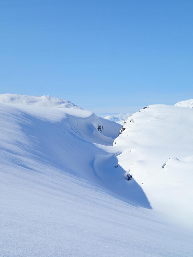 Fina drivor med utsikt.