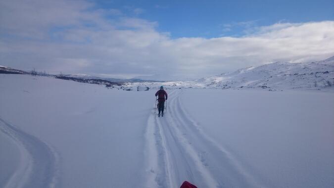 Foto: David Lindgren