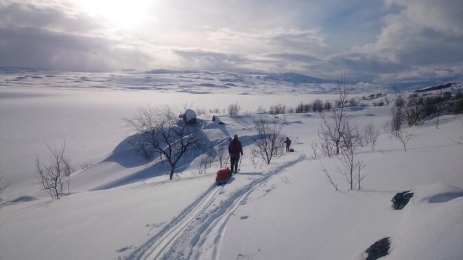 Foto: David Lindgren