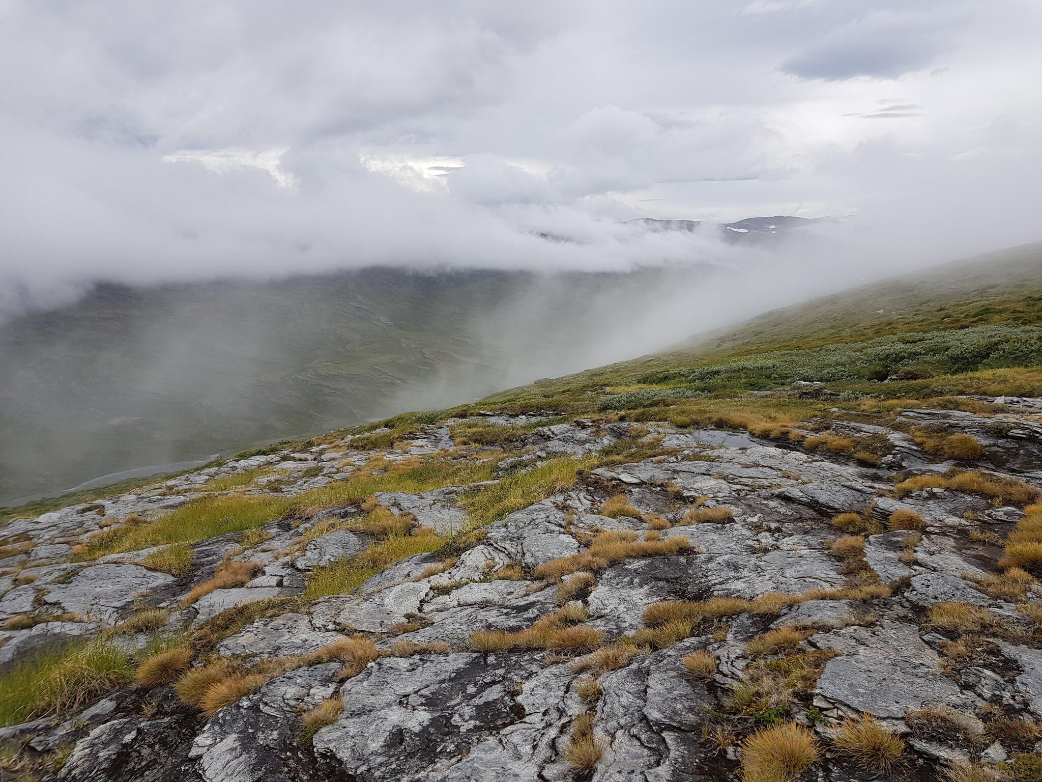 Nedfärden mot Kårsavagge. Det blöta partiet är nästan förbi.