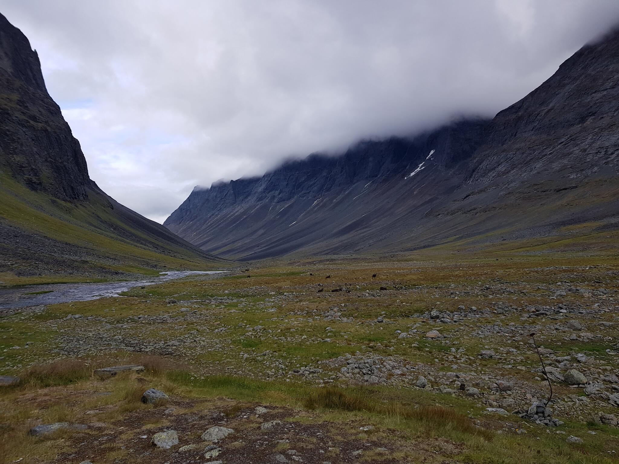 Stuor Reaiddávággi på kvällspromenaden.
