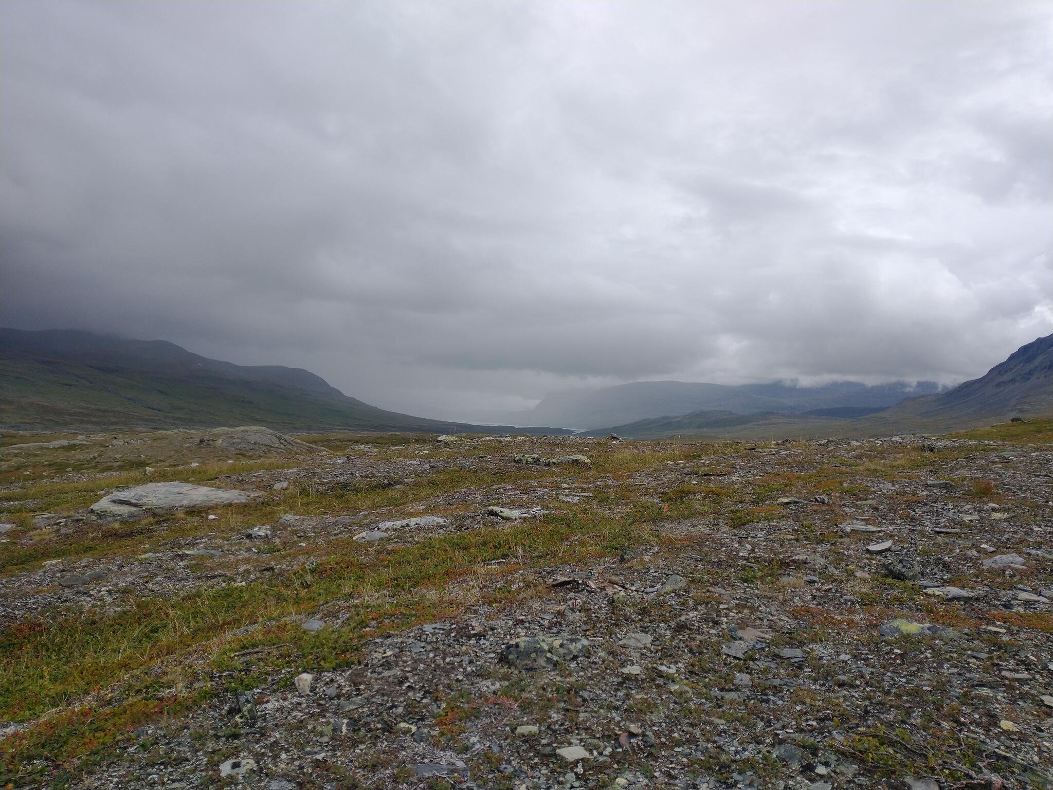 Regn norrut över Alsjávri.
