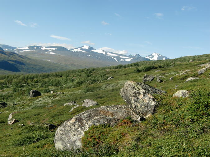 Kåtotjåkkas massiv sett ifrån nordost